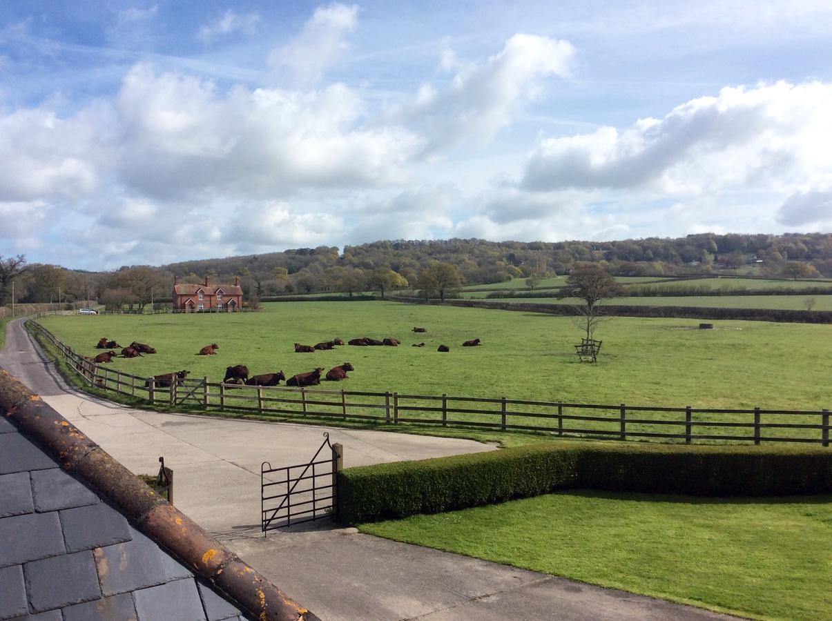 Moors Farmhouse Acomodação com café da manhã East Knoyle Exterior foto